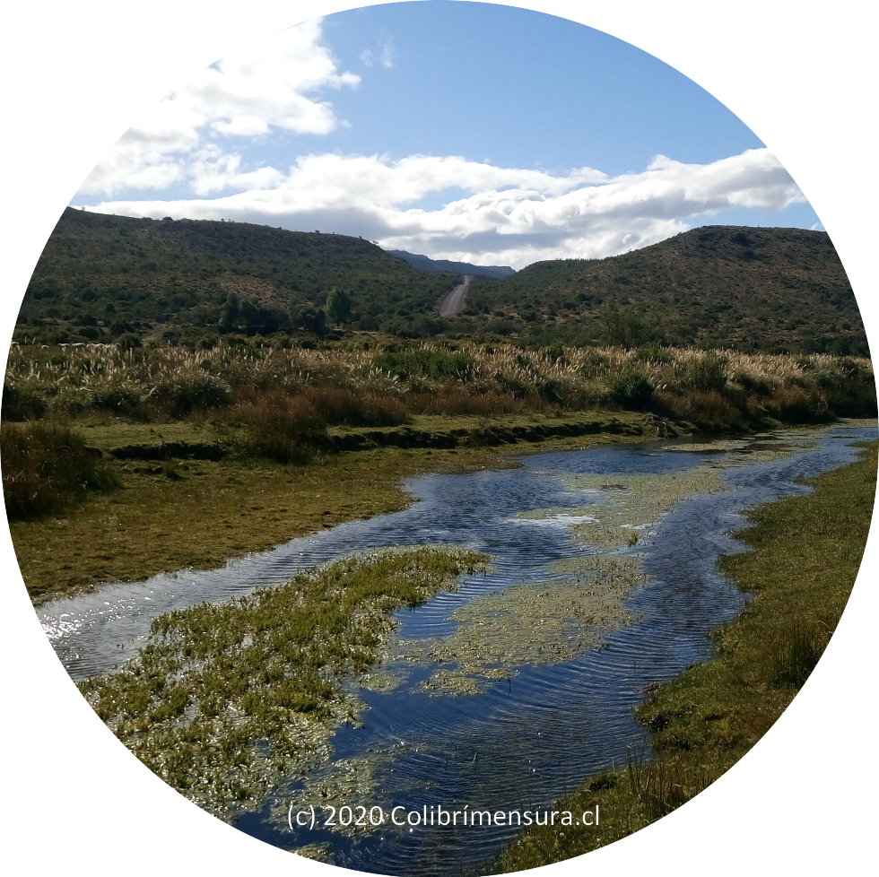 Asesoría Derechos_de_Agua